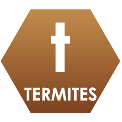 Diagnostic Termites